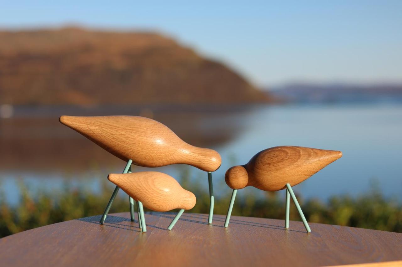 הוילה פורטרי Air An Oir - Skye Self Catering מראה חיצוני תמונה